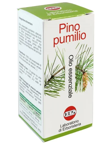 Pino pumilio olio ess 20ml Pino pumilio olio ess 20ml
