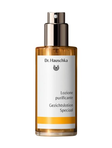 Dr hauschka loz purificante 100ml