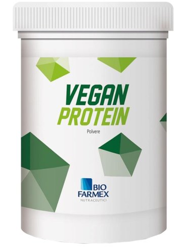 Vegan protein 500 g