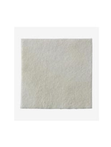 Biatain alginate medicazione con alginati piastra 15x15 cm 10 pezzi