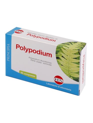 Polypodium estratto secco 60 compresse vegetali