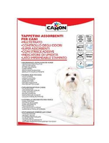 Tappetino ass cani 60x60 25pz
