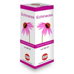 ECHINACEA SOL IAL PIANTA FR100