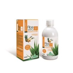 SUCCO ALOEVERA+ ANANAS/PAPAIA 1000 ML