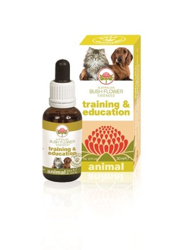 Training & education 30ml Training & education 30ml