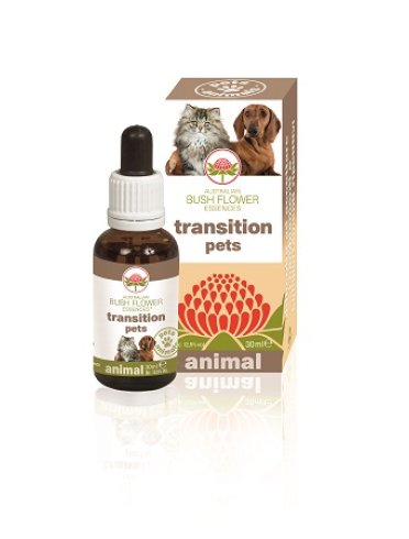 Transition pets 30ml Transition pets 30ml