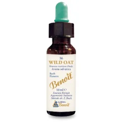 BENOIT FIORI DI BACH WILD OAT