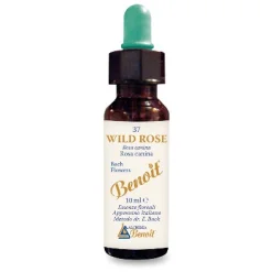BENOIT FIORI DI BACH WILD ROSE
