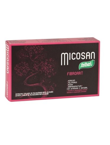 Micosan fibroart 40 capsule