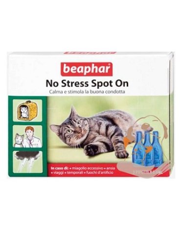 No stress spot on gatto 3 pip No stress spot on gatto 3 pip