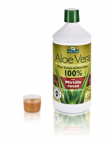 Aloe vera pura - succo di aloe pura con mirtillo rosso - 1 litro