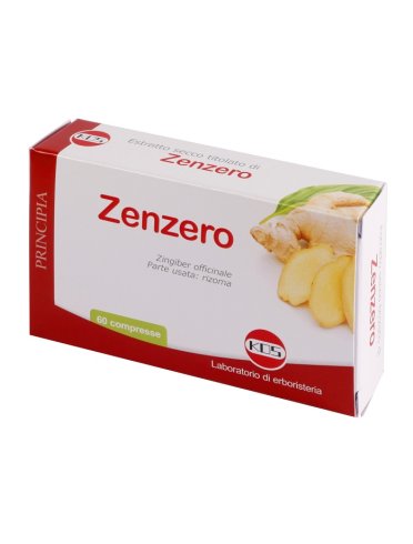 Zenzero estratto secco 60cpr