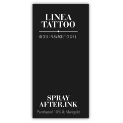 SPRAY AFTER INK 100 ML