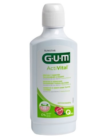 Gum activital collutorio con coenzima q10 500 ml