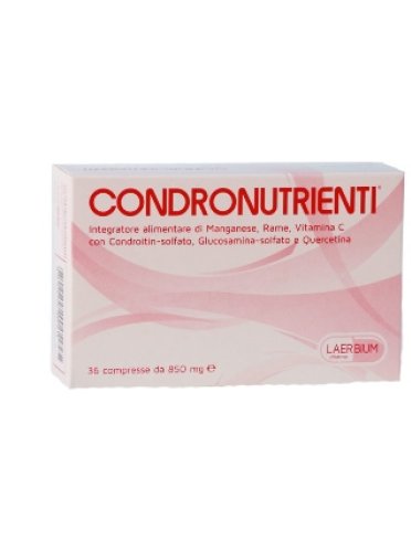 Condronutrienti 36 compresse