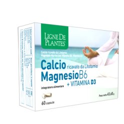 Calcio Magnesio B6 Vitamina D3 Integratore Ossa e Denti 60 Capsule