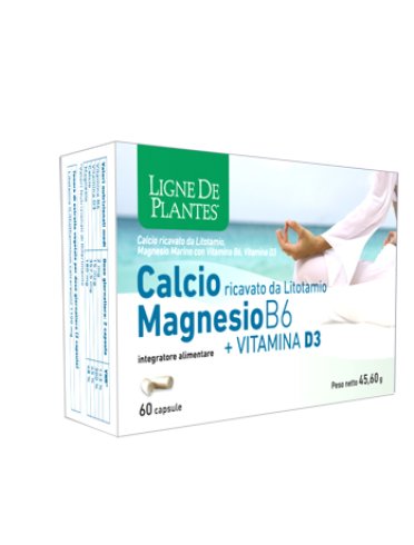 Calcio magnesio b6 vitamina d3 integratore ossa e denti 60 capsule