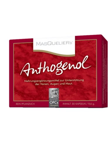 Opc masquelier anthogenol 30 capsule