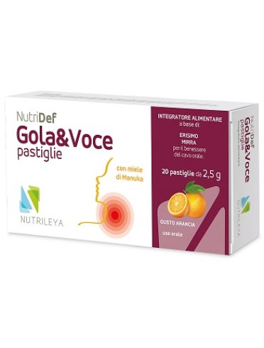 Nutridef gola & voce arancia 20 pastiglie