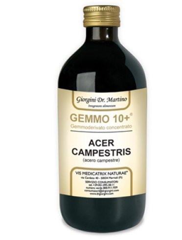 Acero camp 500ml analco gem10+