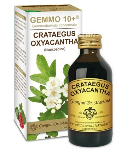 Gemmo 10+ biancospino - integratore per la salute del cuore - 100 ml Gemmo 10+ biancospino - integratore per la salute del cuore - 100 ml