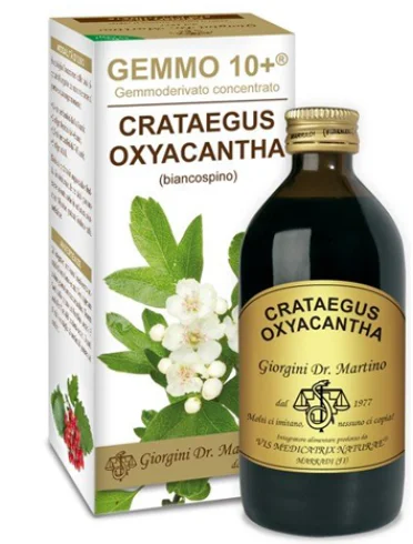 Gemmo 10+ biancospino - integratore per la salute del cuore - 200 ml Gemmo 10+ biancospino - integratore per la salute del cuore - 200 ml