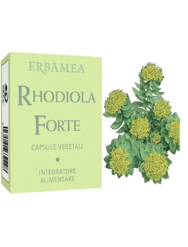 Rhodiola forte 24 capsule Rhodiola forte 24 capsule