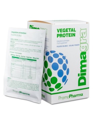 Dimagra vegetal protein tropical 10 bustine 200 g