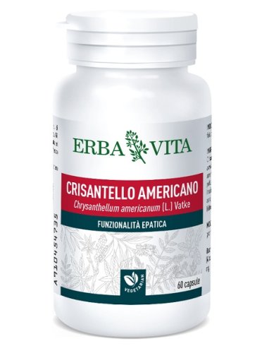 Crisantello americano 60 capsule 500 mg