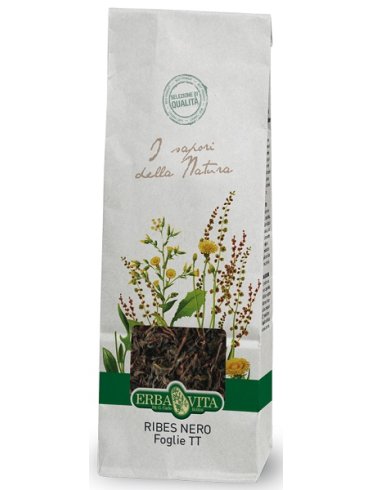 Ribes nero foglie 100g