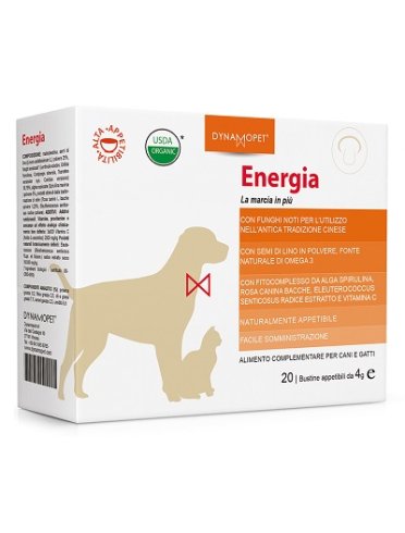 Energia 20bust 4g