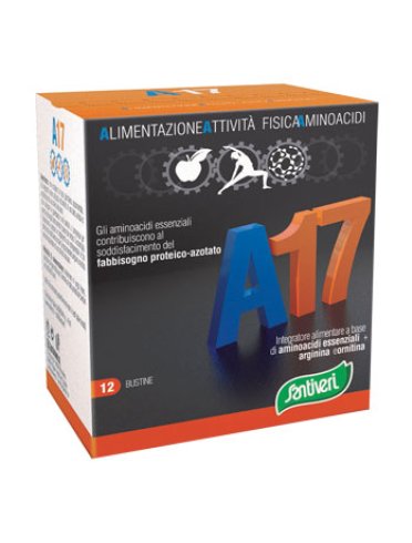 A17 aminoacidi essenzial12bust