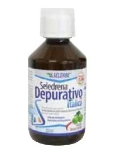 Selerbe seledrena depur italic Selerbe seledrena depur italic