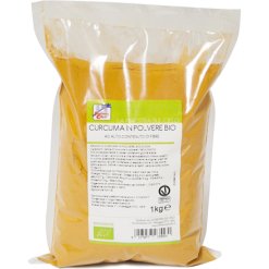 CURCUMA BIO 1KG