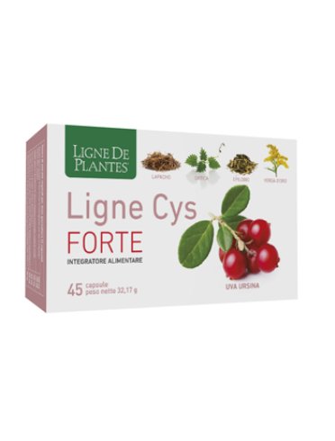 Ligne cys forte 45cps natura s