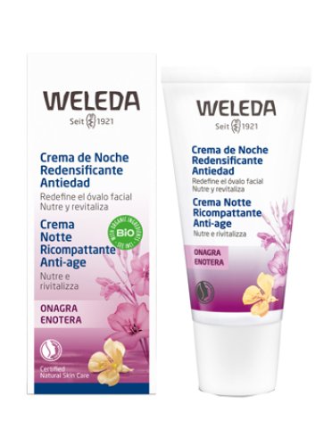 Crema notte enotera antia 30ml