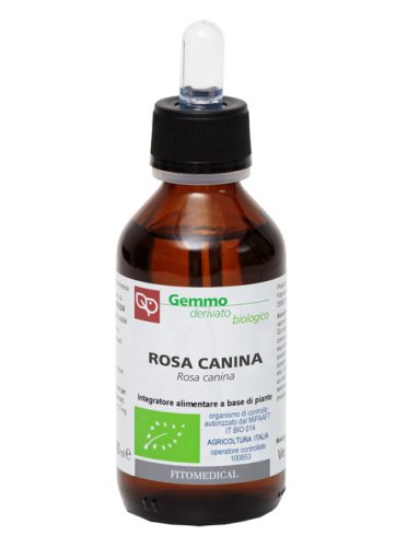 Rosa canina mg bio 100ml