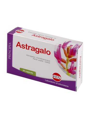 Astragalo es 70% 500mg 30cps