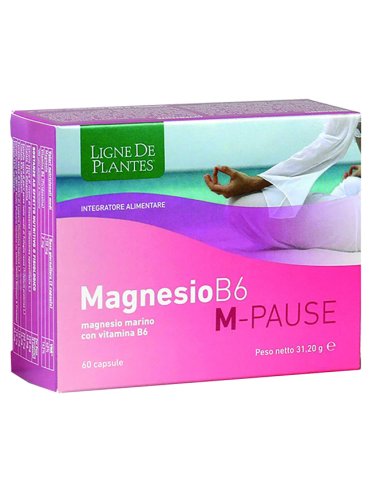 Magnesio b6 m-pause 66cps