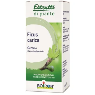 FICUS CARICA MACERATO GLICERICO 60 ML INT