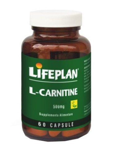 L-carnitine 500mg 60 capsule