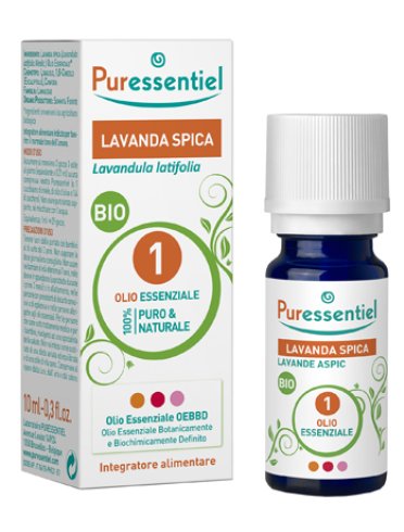 Olio ess lavanda spica bio