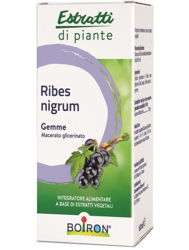 Ribes nigrum macerato glicerico 60 ml int