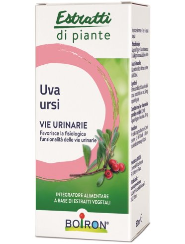 Uva ursina estratto idroalcolico 60 ml int