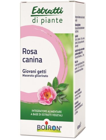 Rosa canina macerato glicerico 60 ml int