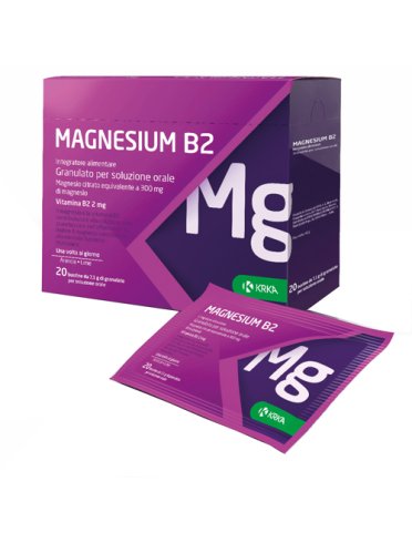 Magnesium b2 300/2mg 20 bustine