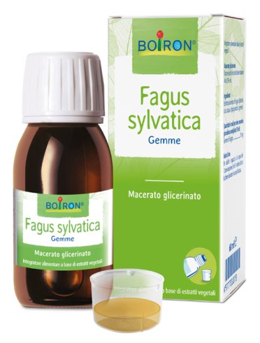 Fagus sylvatica macerato glicerico 60 ml int