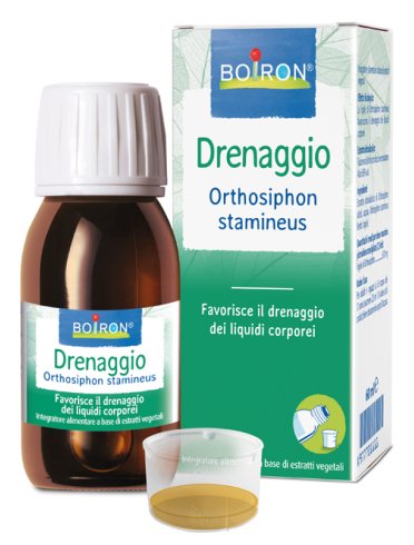 Orthosiphon stamineus estratto idroalcolico 60 ml int