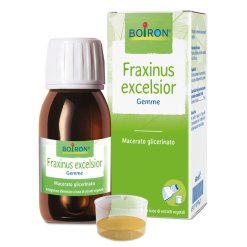 FRAXINUS EXCELSIOR MACERATO GLICERICO 60 ML INT