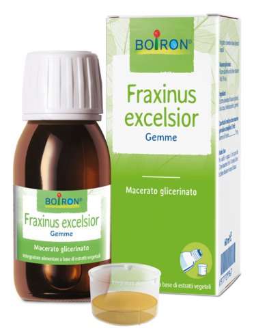 Fraxinus excelsior macerato glicerico 60 ml int